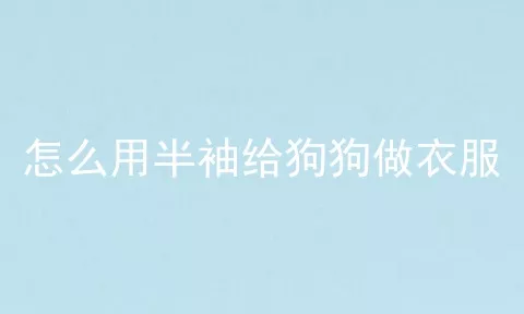 怎么用半袖给狗狗做衣服