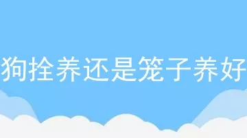 狗拴养还是笼子养好