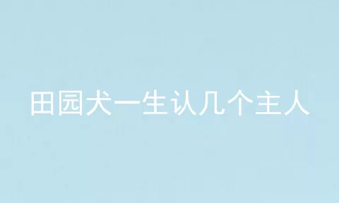 田园犬一生认几个主人