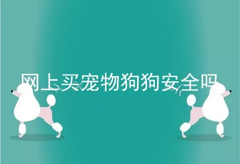 网上买宠物狗狗安全吗