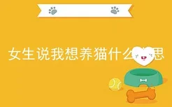 女生说我想养猫什么意思