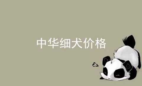 中华细犬价格