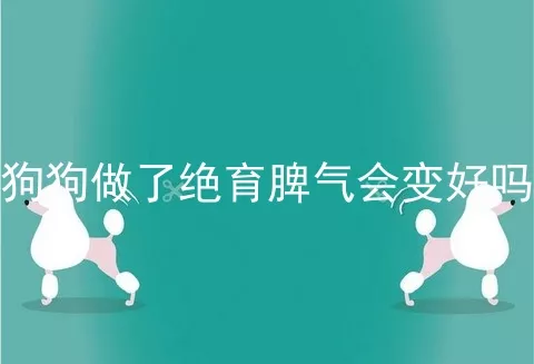 狗狗做了绝育脾气会变好吗