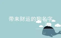 带来财运的狗名字