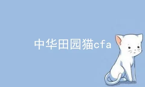 中华田园猫cfa