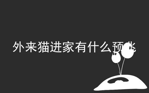 外来猫进家有什么预兆