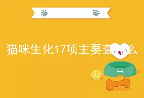 猫咪生化17项主要查什么