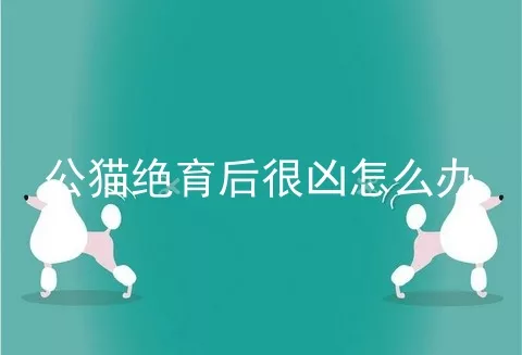 公猫绝育后很凶怎么办