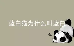 蓝白猫为什么叫蓝白