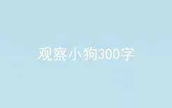 观察小狗300字