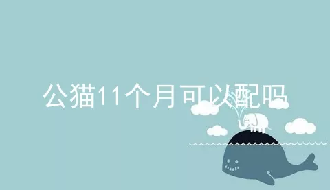 公猫11个月可以配吗