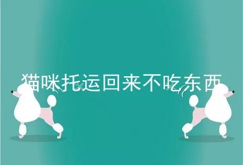 猫咪托运回来不吃东西