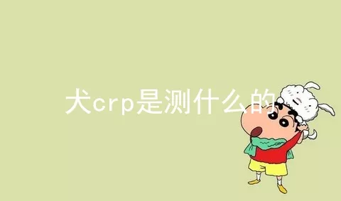 犬crp是测什么的