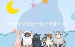 卡斯罗犬食欲一直不好怎么办