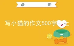 写小猫的作文500字以上