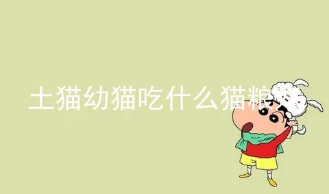 土猫幼猫吃什么猫粮好