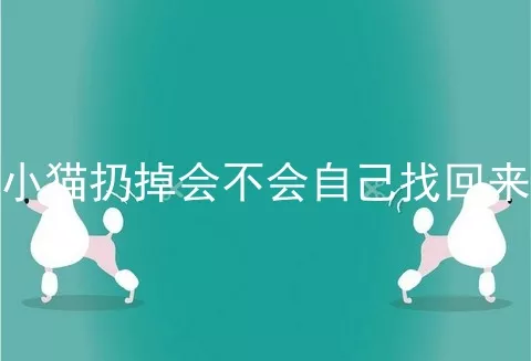 小猫扔掉会不会自己找回来