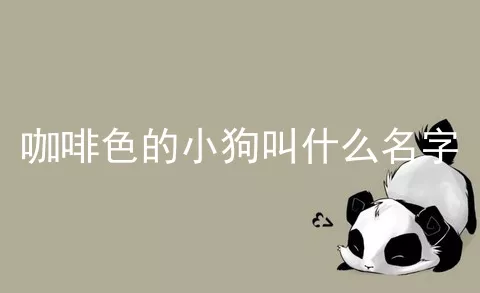 咖啡色的小狗叫什么名字