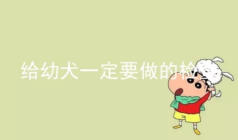 给幼犬一定要做的检查