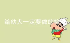 给幼犬一定要做的检查