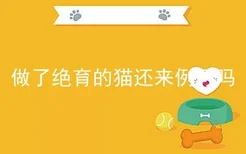 做了绝育的猫还来例假吗