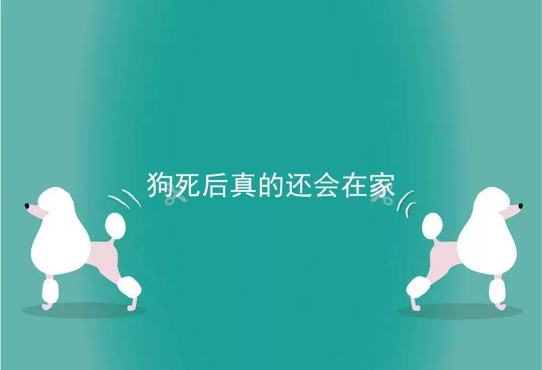 狗死后真的还会在家