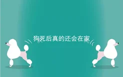 狗死后真的还会在家