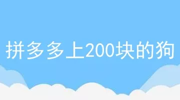 拼多多上200块的狗