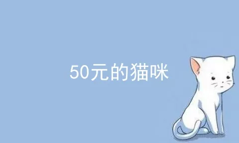 50元的猫咪