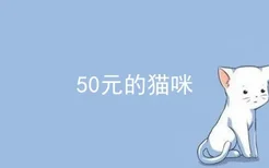 50元的猫咪