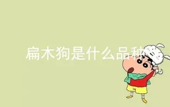 扁木狗是什么品种