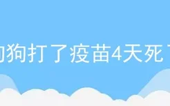 狗狗打了疫苗4天死了