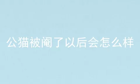 公猫被阉了以后会怎么样