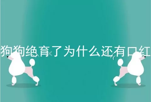 狗狗绝育了为什么还有口红