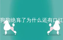 狗狗绝育了为什么还有口红