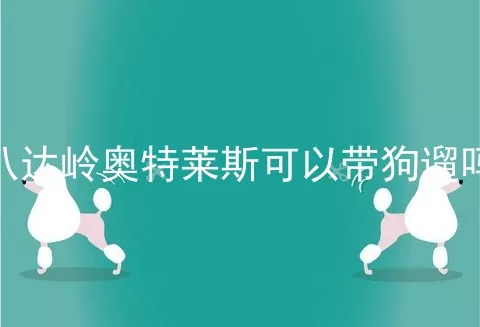 八达岭奥特莱斯可以带狗遛吗