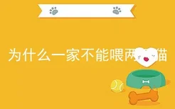 为什么一家不能喂两只猫