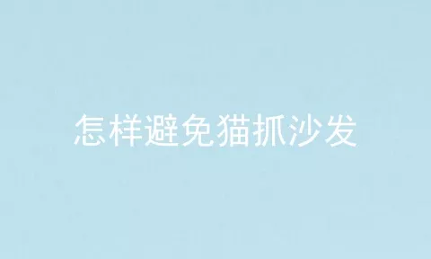 怎样避免猫抓沙发