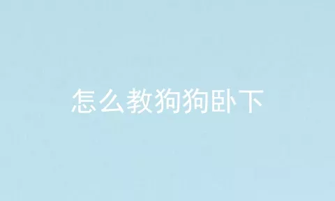 怎么教狗狗卧下