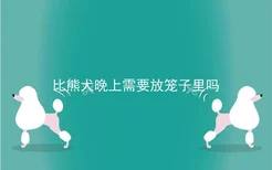 比熊犬晚上需要放笼子里吗