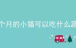 两个月的小猫可以吃什么蔬菜