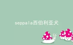 seppala西伯利亚犬