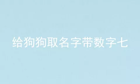 给狗狗取名字带数字七