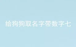 给狗狗取名字带数字七