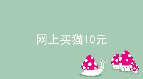 网上买猫10元