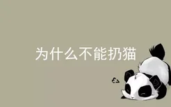 为什么不能扔猫