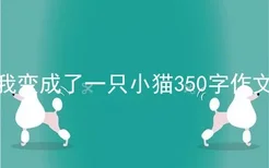 我变成了一只小猫350字作文