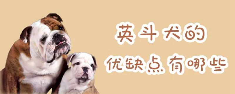 英斗犬的优缺点有哪些