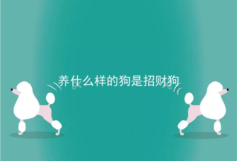 养什么样的狗是招财狗