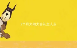 2个月大幼犬会认主人么